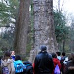 Visitas a los jardines de Aranjuez para institutos (secundaria) - 03