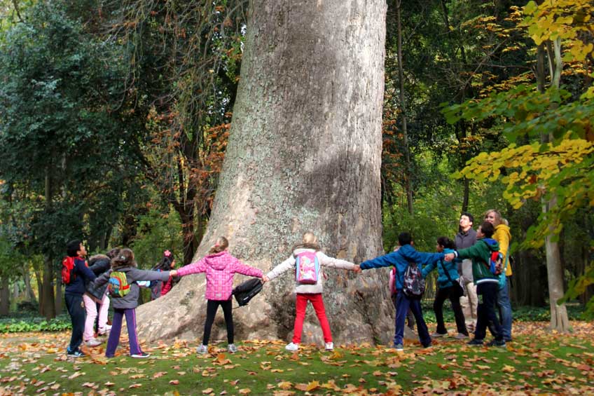 Visitas guiadas por los jardines de Aranjuez para colegios - Abrazando árbol