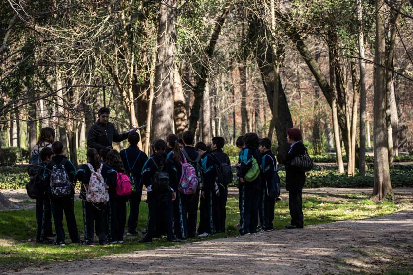 Visitas guiadas por los jardines de Aranjuez para institutos